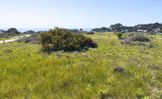a view of a lake with a mountain in the background