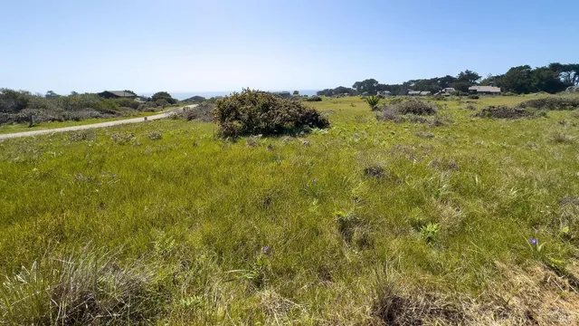 a sign that is on a pole