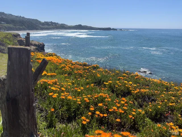 a view of a backyard with a wooden fence