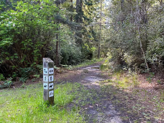 a view of a tennis court