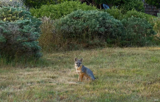 $375,000 | 35412 Sea Gate Road, The Sea Ranch, CA 95497