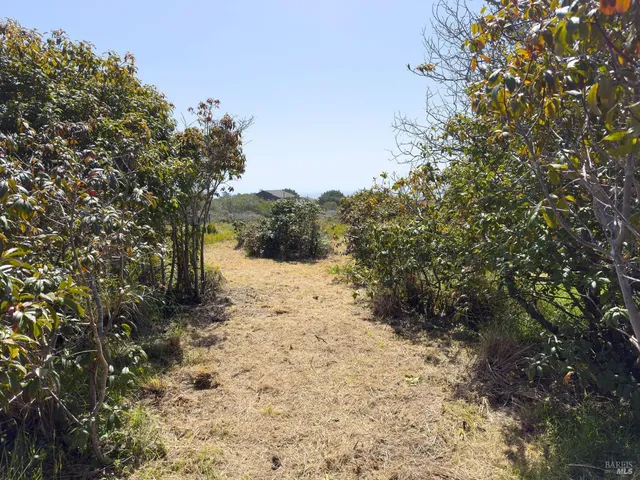 a view of a snow in between of a tree