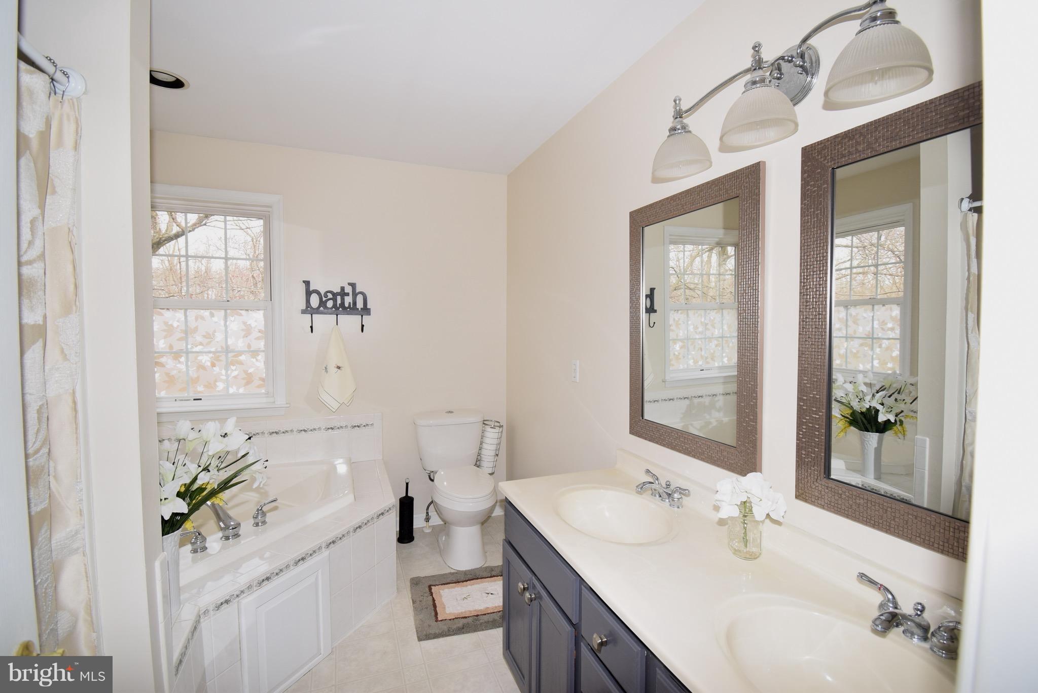 439 Little Egypt Road Elkton, MD 21921 - Photo 17 of 26 Bath (Master)