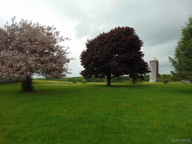 6244 Genesee Road Concord, NY 14141 - Photo 4 of 4