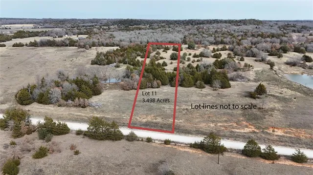 a view of a dry yard