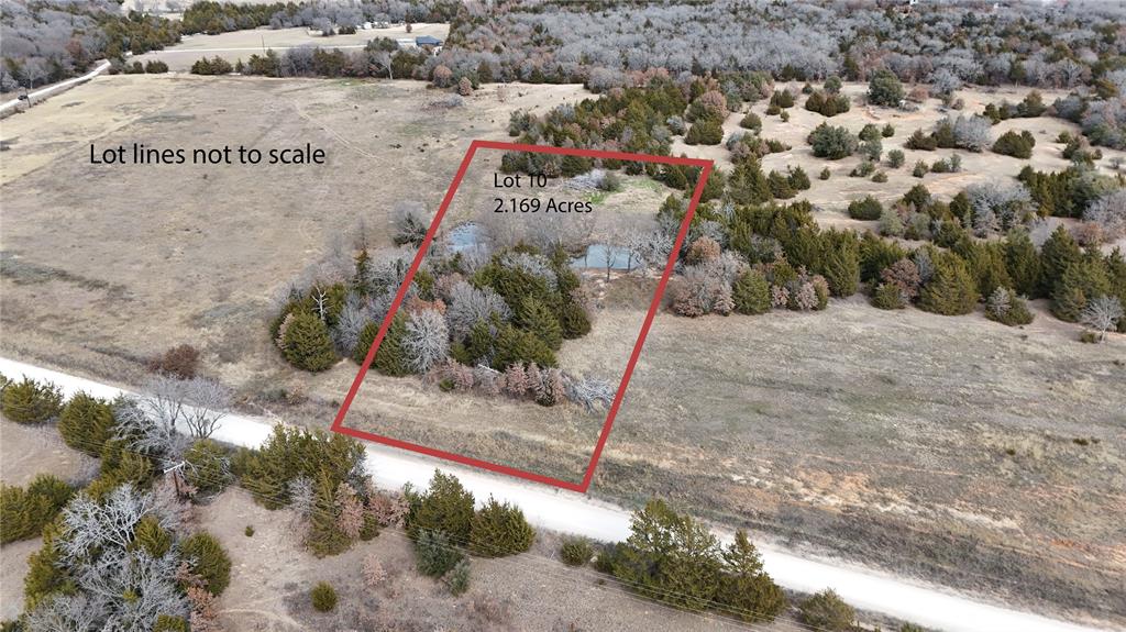 Tbd Merritt Road Forestburg, TX 76239 - Photo 10 of 19 a view of a plant in a park