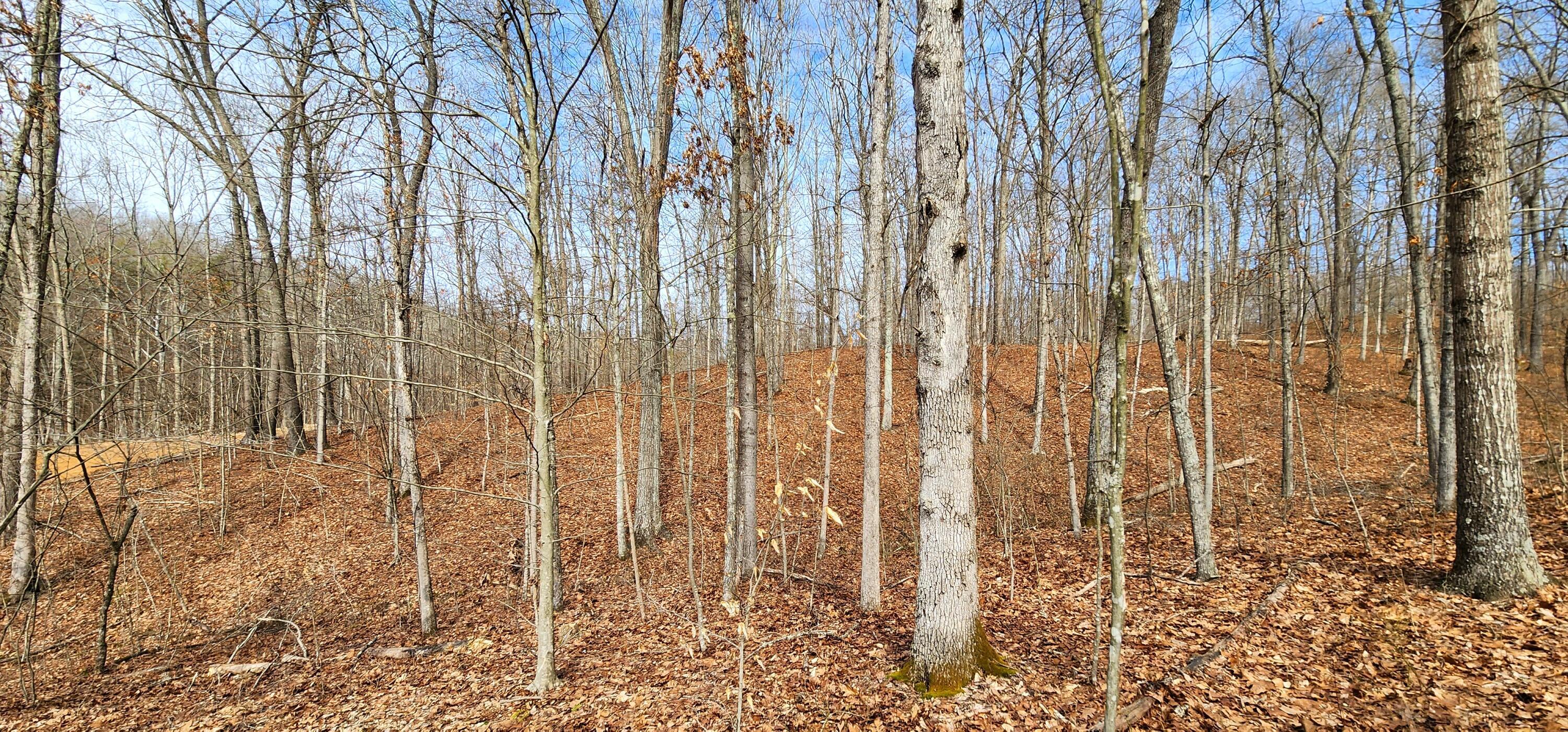 0 Edmundson Road, Unit TRACT 4 AT BIG TIMBER) Vinton, OH 45686 - Photo 28 of 67 20250307_114816