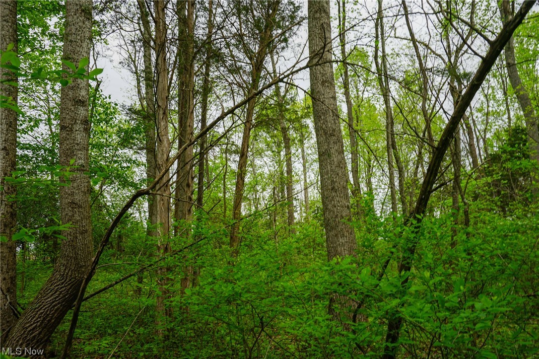 Hill Road Blue Creek, OH 45616 - Photo 20 of 26 Gallery Image 20