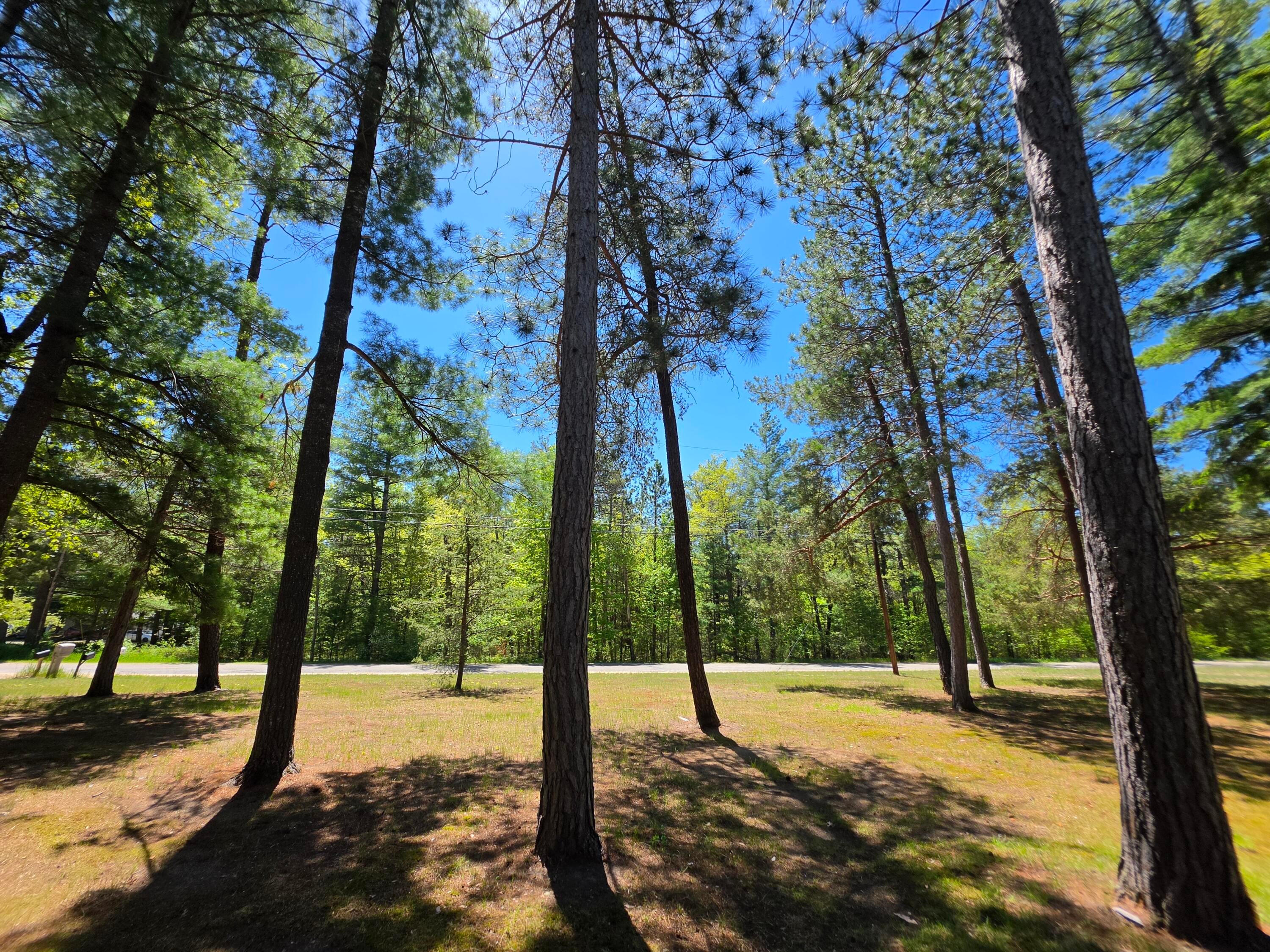 260 Popps Road Mio, MI 48647 - Photo 47 of 49 20260530_131331