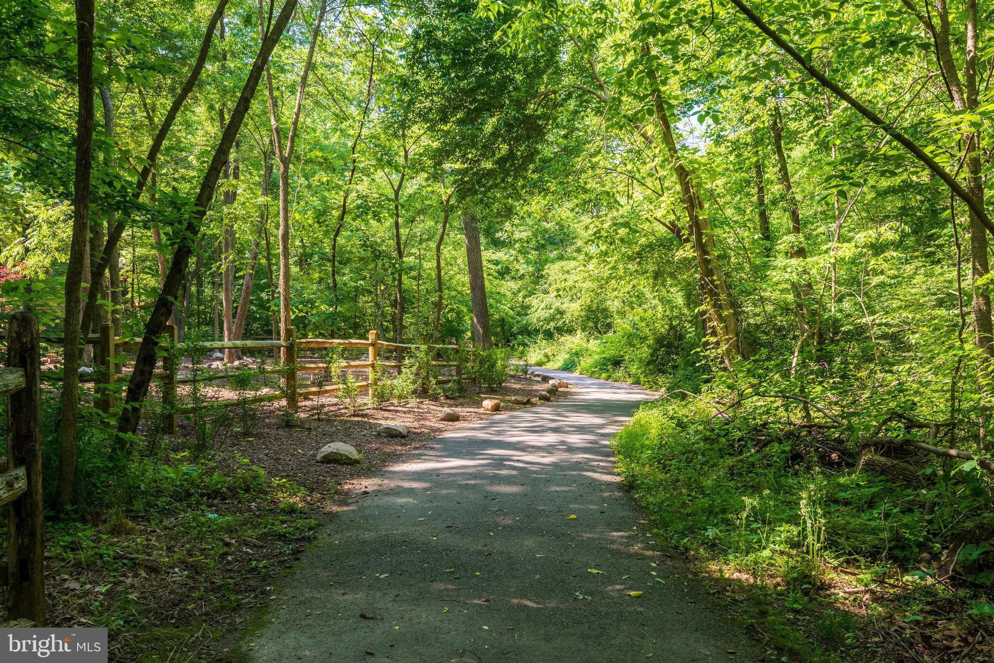 12104 North Walnut Branch Road Reston, VA 20194 - Photo 66 of 70 Home backs to Runnymede Park.