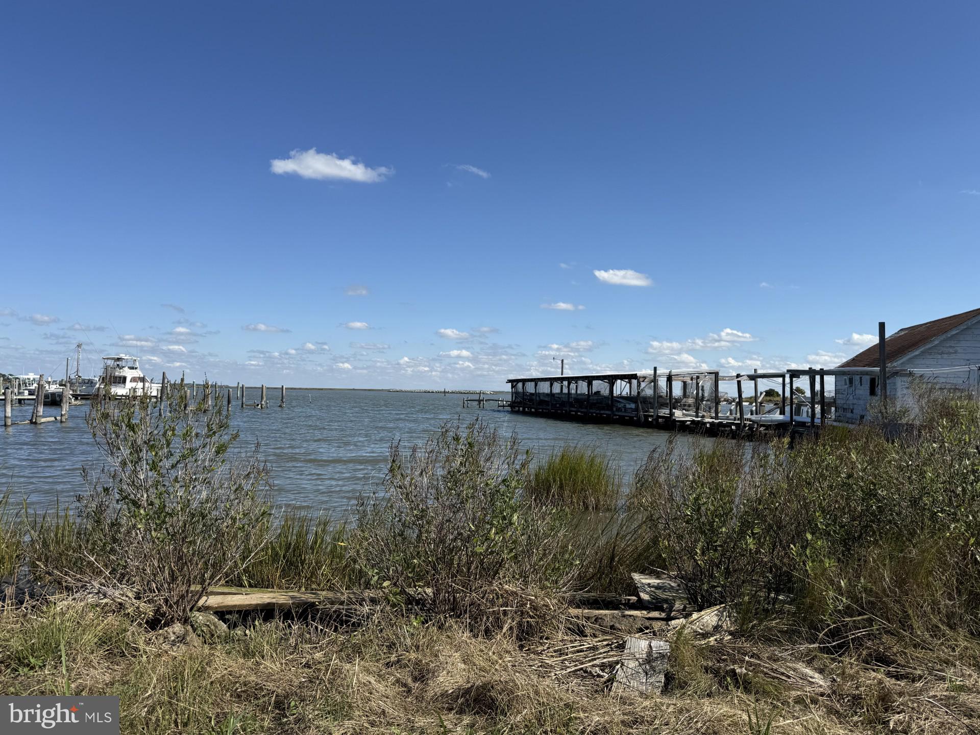 9121 Deal Island Road Deal Island, MD 21821 - Photo 12 of 12 a view of a water pond with outdoor space