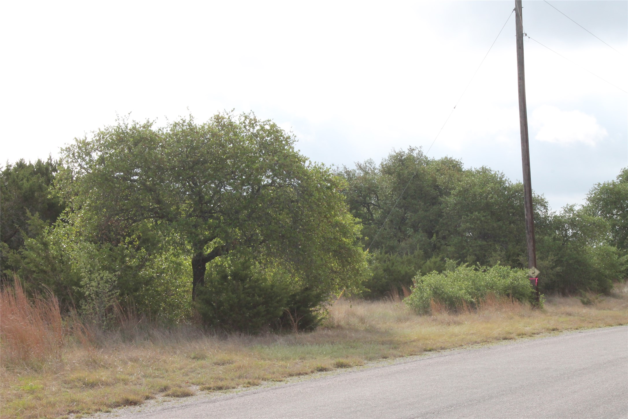 Lot 1 Saddle Ridge Drive Bertram, TX 78605 - Photo 2 of 7 a view of a yard with a tree