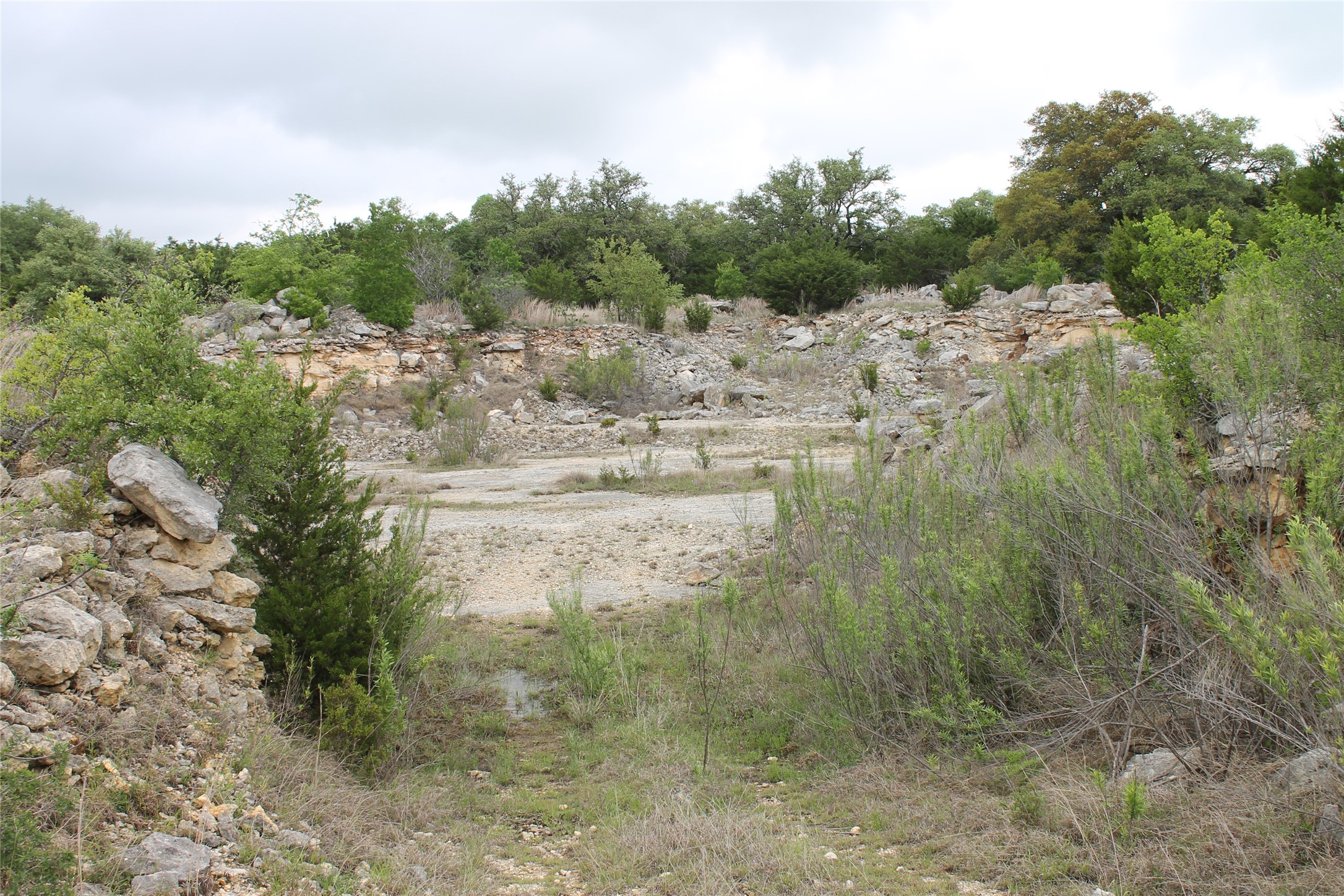 Lot 1 Saddle Ridge Drive Bertram, TX 78605 - Photo 3 of 7 a view of a dry yard with trees in the background