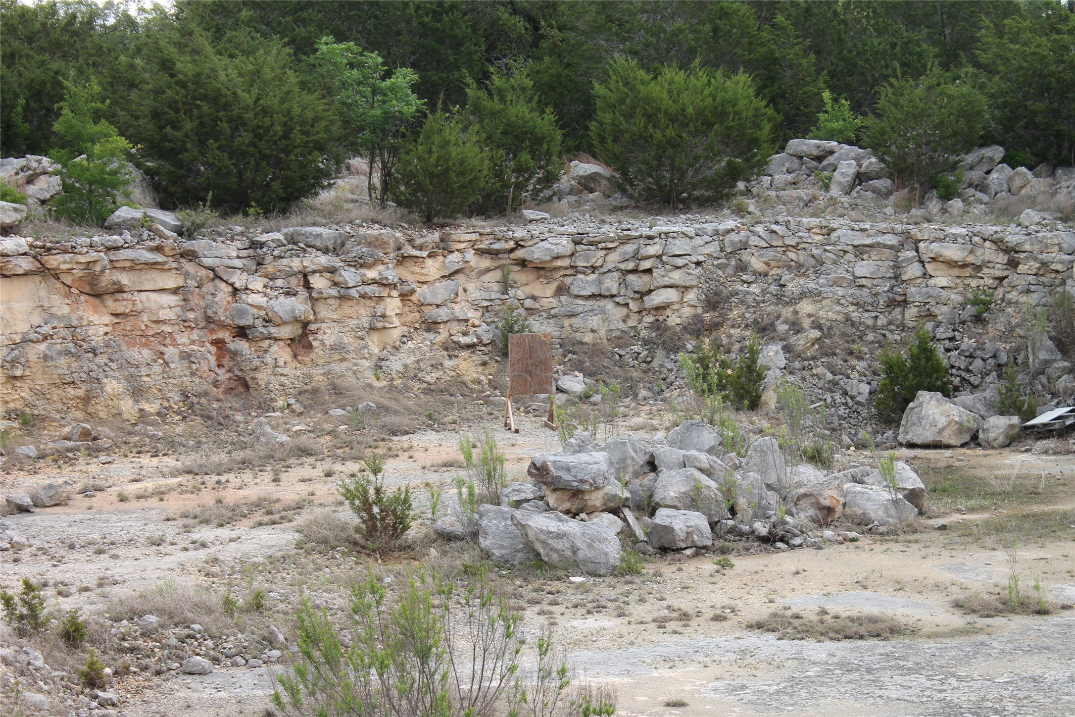 Lot 1 Saddle Ridge Drive Bertram, TX 78605 - Photo 4 of 7 a view of a dry yard