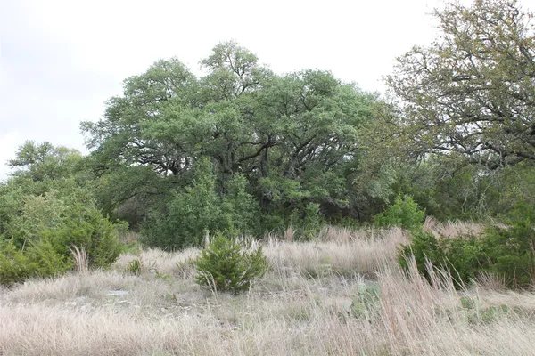 $270,000 | Lot 1 Saddle Ridge Drive, Bertram, TX 78605