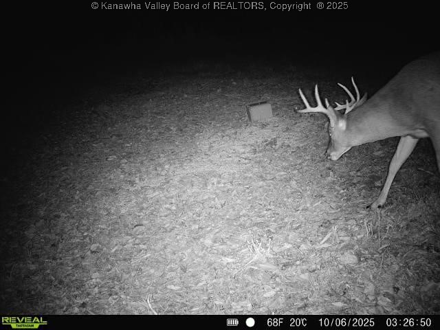 0 Baier Ridge Road Cottageville, WV 25239 - Photo 16 of 16 Gallery Image 16