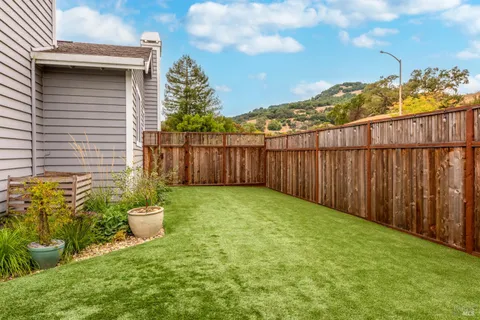 a view of a backyard with plants and trees