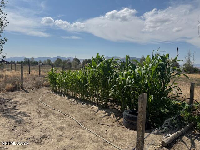 3400 Potbelly Road Winnemucca, NV 89445 - Photo 41 of 50 a view of a lake with a tree in front of it