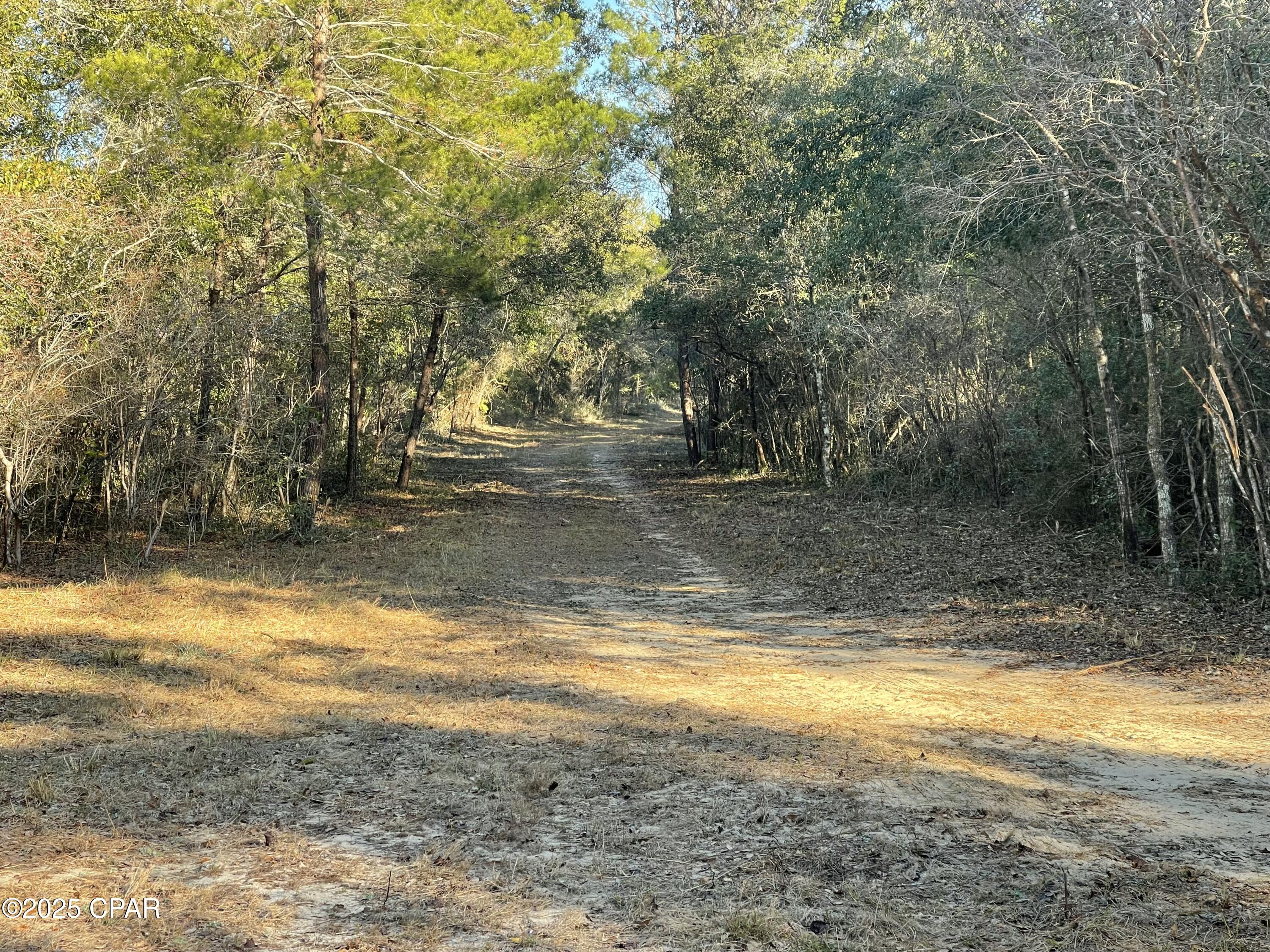 0 Bent Oaks Road Chipley, FL 32428 - Photo 19 of 21