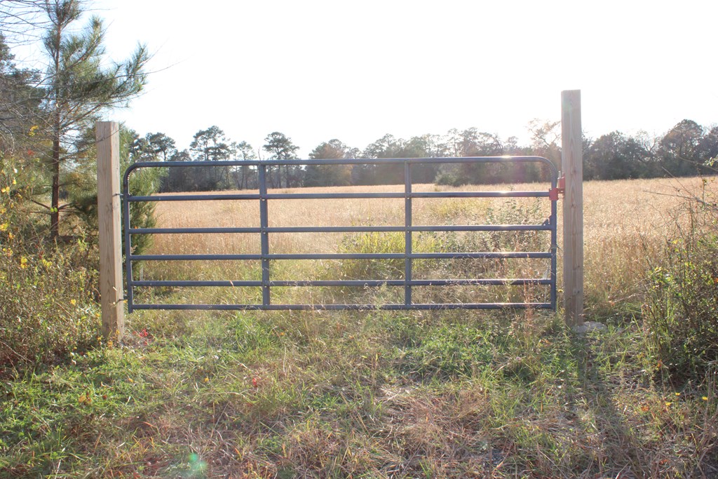 Lot 3-4 Mink Farm Road, Unit 4 3 Onancock, VA 23417 - Photo 3 of 19