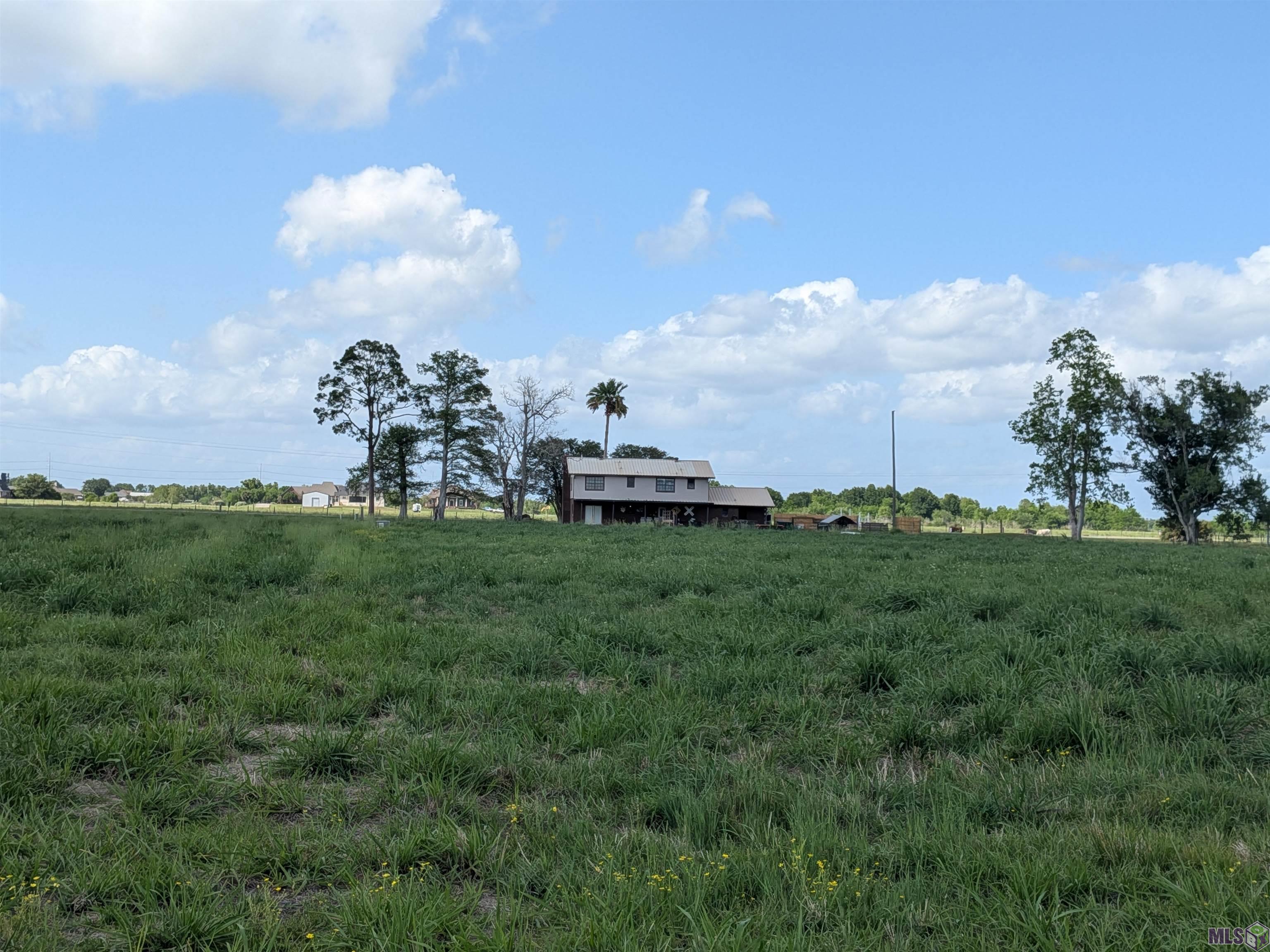68 Magnolia Street Raceland, LA 70394 - Photo 33 of 46
