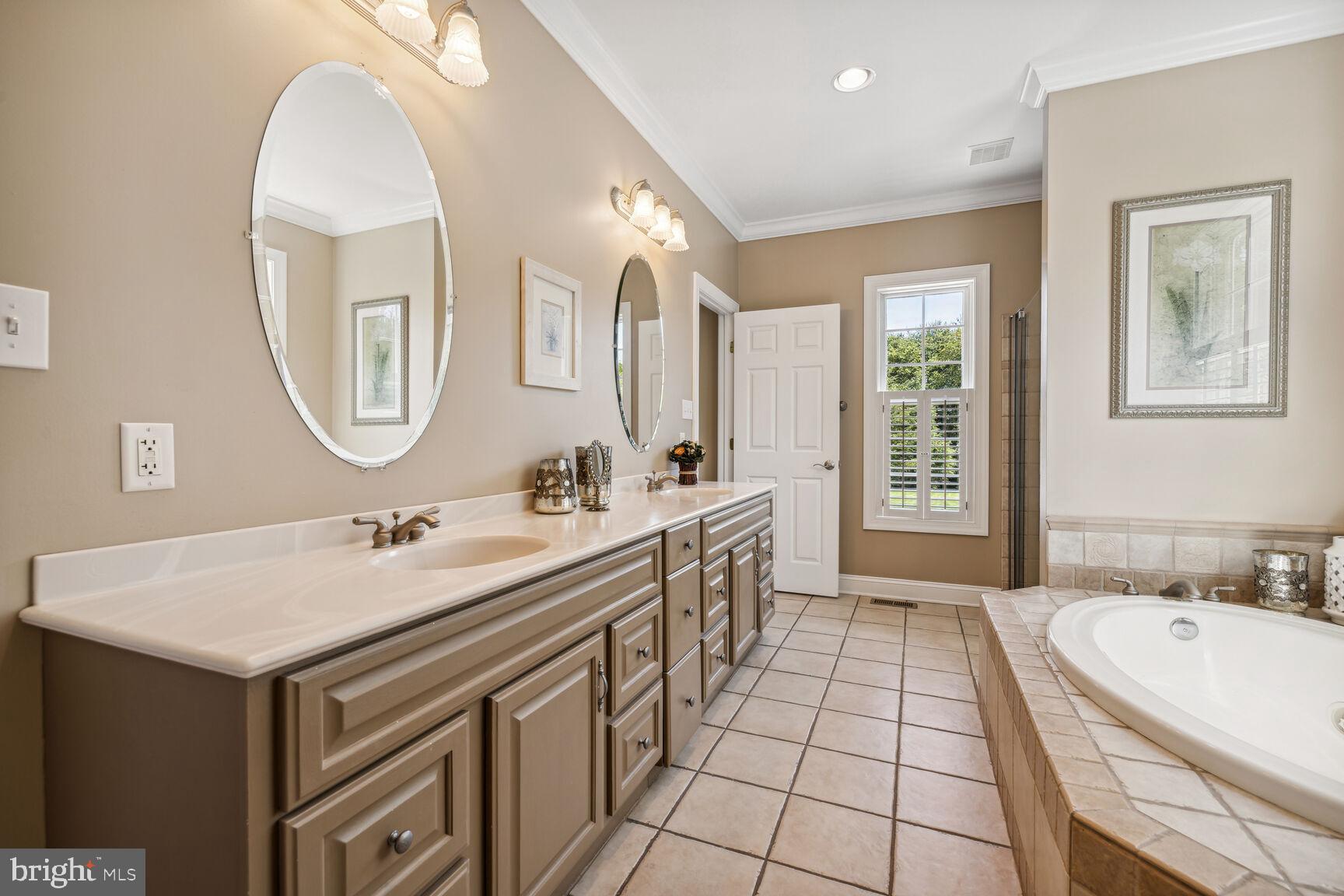 9649 Watkins Road Gaithersburg, MD 20882 - Photo 31 of 81 Owners' Suite spa bath