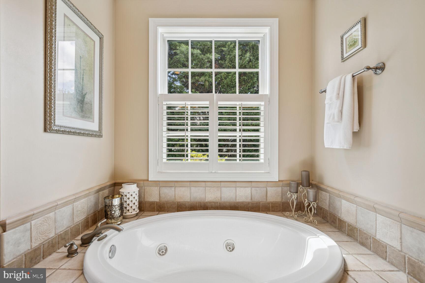 9649 Watkins Road Gaithersburg, MD 20882 - Photo 32 of 81 Owners' Suite spa bath