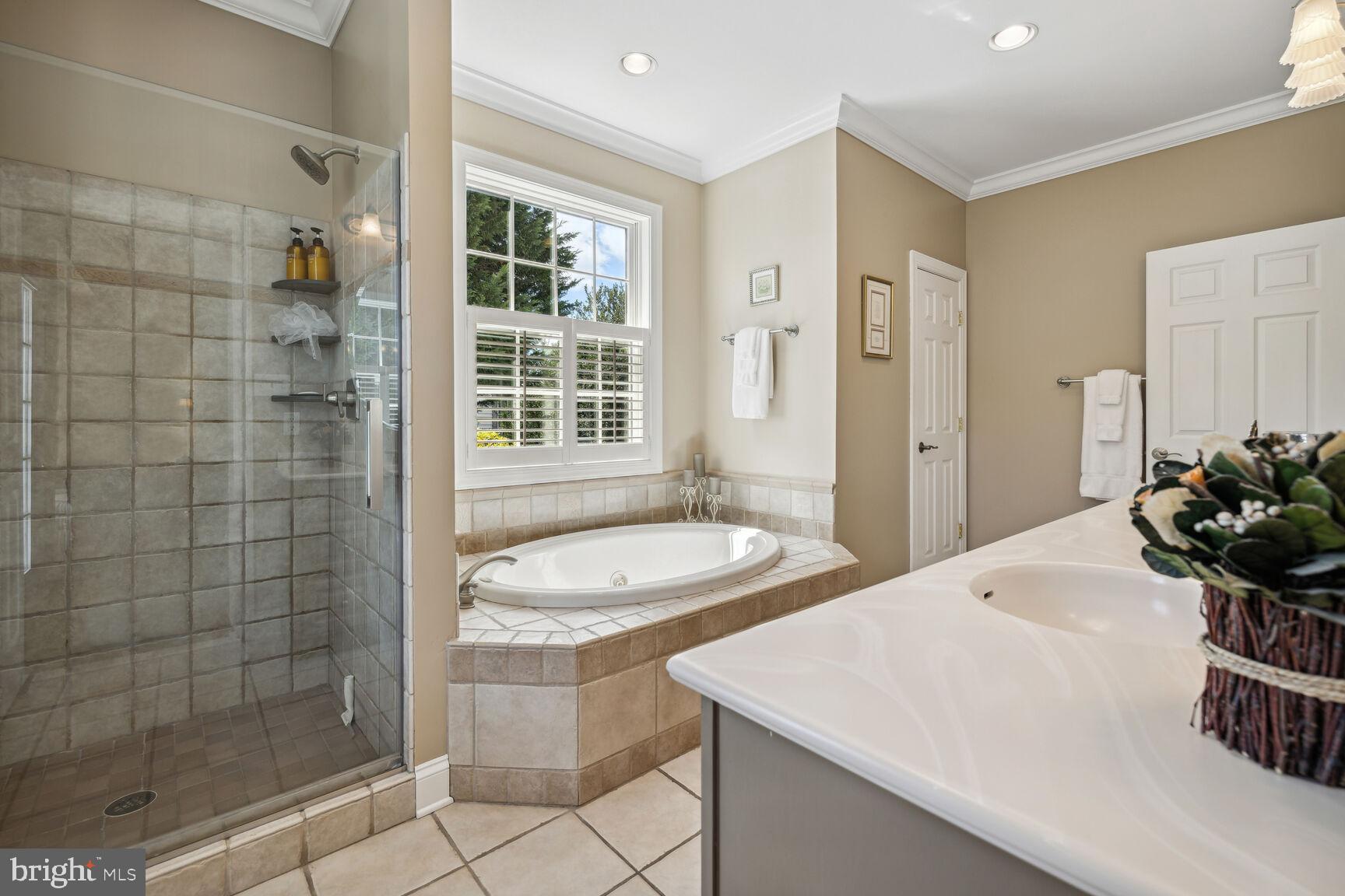 9649 Watkins Road Gaithersburg, MD 20882 - Photo 33 of 81 Owners' Suite separate tub/shower