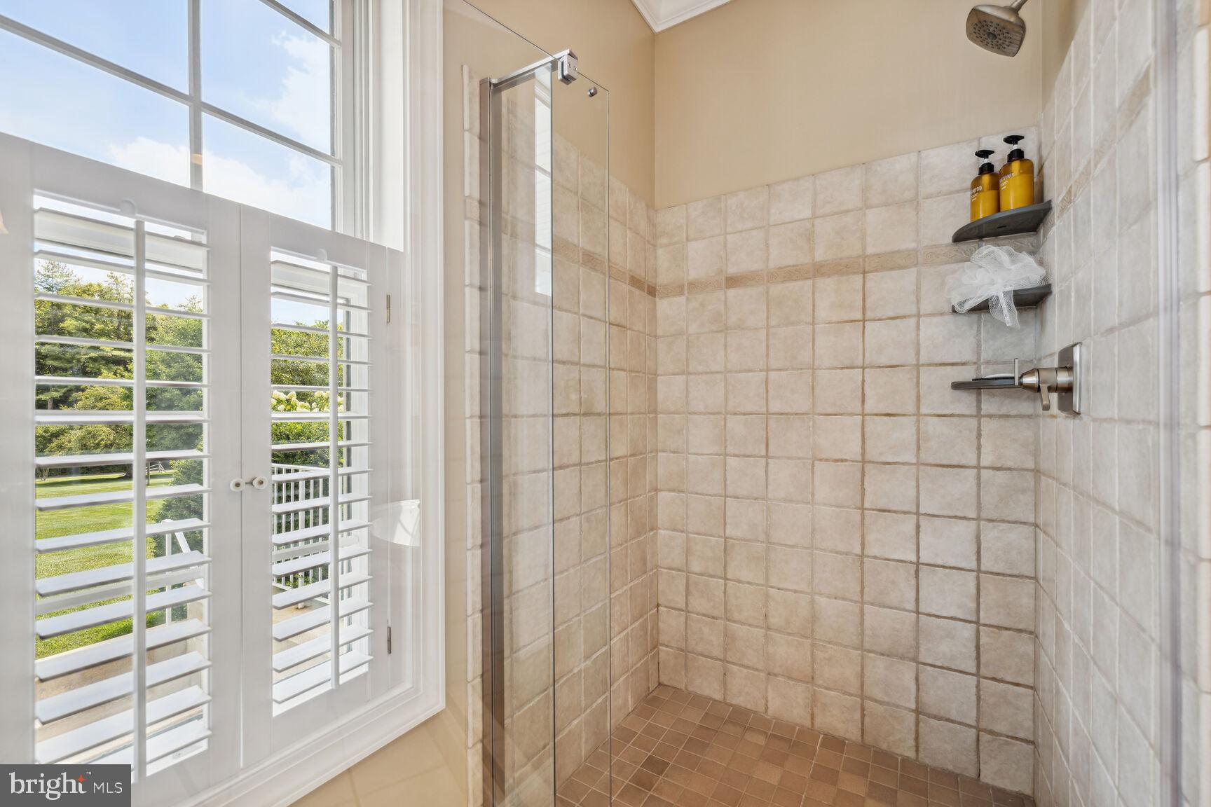 9649 Watkins Road Gaithersburg, MD 20882 - Photo 34 of 81 Owners' Suite shower