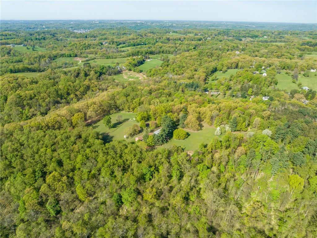 45 Stonedale Road Sewickley, PA 15143 - Photo 2 of 35 a view of a big yard with lots of green trees