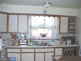 7422 Rhoads Street Philadelphia, PA 19151 - Photo 4 of 6 Gallery Image 4