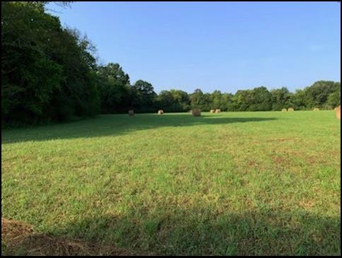 0 Perryman Road Chapel Hill, TN 37034 - Photo 4 of 7 Gallery Image 4