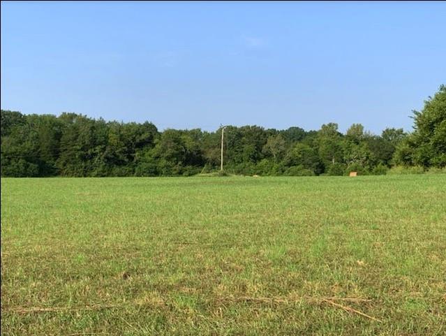 0 Perryman Road Chapel Hill, TN 37034 - Photo 5 of 7 Gallery Image 5