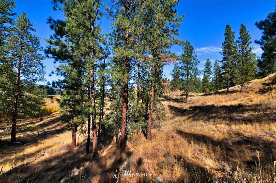 5 Appaloosa Road Winthrop, WA 98862 - Photo 12 of 39 Gallery Image 12