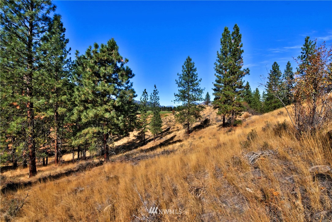 5 Appaloosa Road Winthrop, WA 98862 - Photo 13 of 39 Gallery Image 13