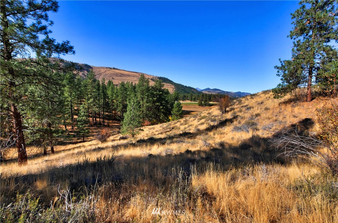 5 Appaloosa Road Winthrop, WA 98862 - Photo 19 of 39 Gallery Image 19