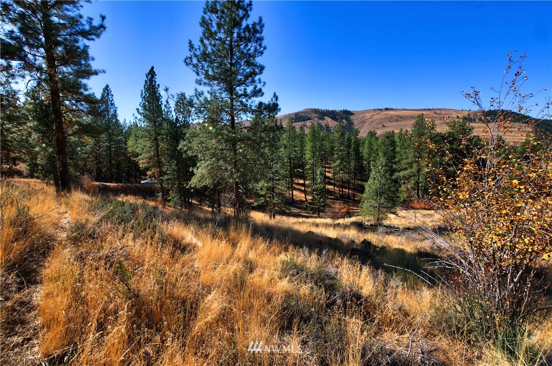 5 Appaloosa Road Winthrop, WA 98862 - Photo 20 of 39 Gallery Image 20