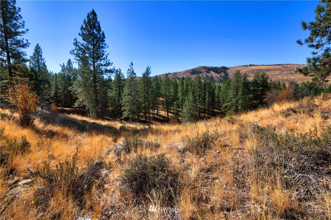5 Appaloosa Road Winthrop, WA 98862 - Photo 21 of 39 Gallery Image 21