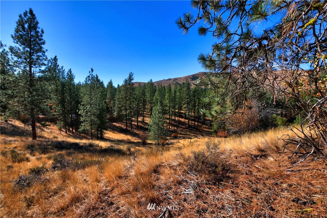 5 Appaloosa Road Winthrop, WA 98862 - Photo 22 of 39 Gallery Image 22