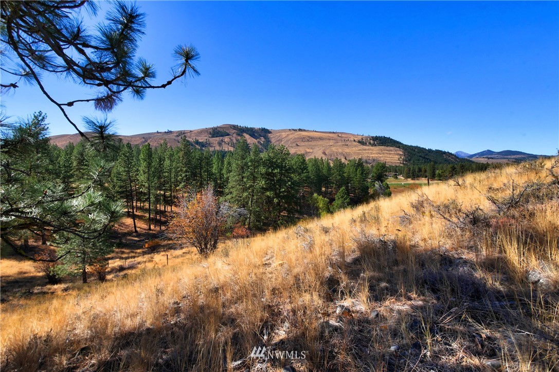 5 Appaloosa Road Winthrop, WA 98862 - Photo 24 of 39 Gallery Image 24