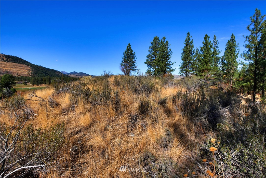 5 Appaloosa Road Winthrop, WA 98862 - Photo 25 of 39 Gallery Image 25