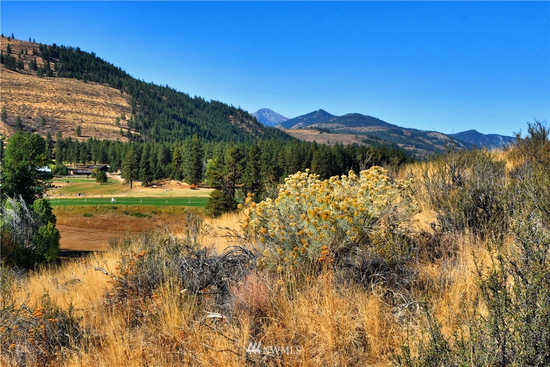 5 Appaloosa Road Winthrop, WA 98862 - Photo 26 of 39 Gallery Image 26