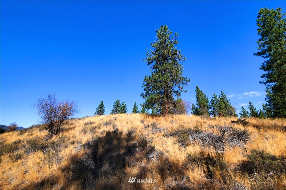 5 Appaloosa Road Winthrop, WA 98862 - Photo 27 of 39 Gallery Image 27