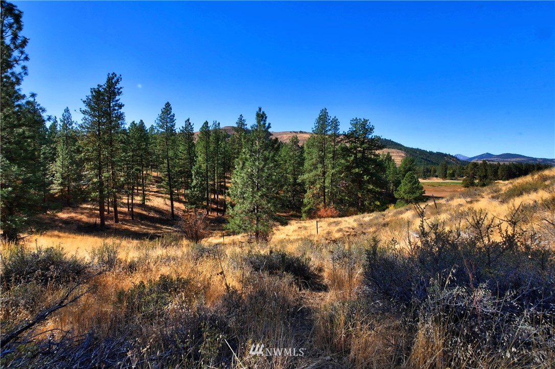 5 Appaloosa Road Winthrop, WA 98862 - Photo 28 of 39 Gallery Image 28