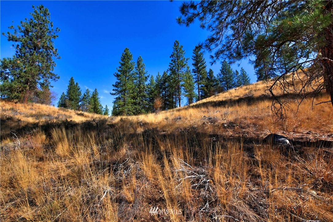 5 Appaloosa Road Winthrop, WA 98862 - Photo 29 of 39 Gallery Image 29