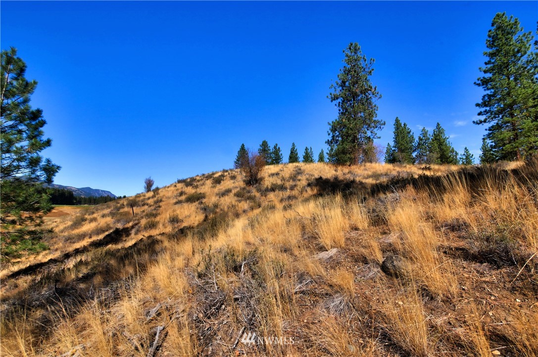5 Appaloosa Road Winthrop, WA 98862 - Photo 30 of 39 Gallery Image 30