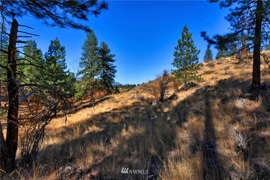 5 Appaloosa Road Winthrop, WA 98862 - Photo 32 of 39 Gallery Image 32
