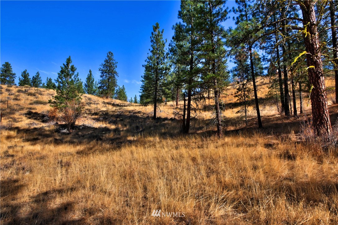 5 Appaloosa Road Winthrop, WA 98862 - Photo 33 of 39 Gallery Image 33