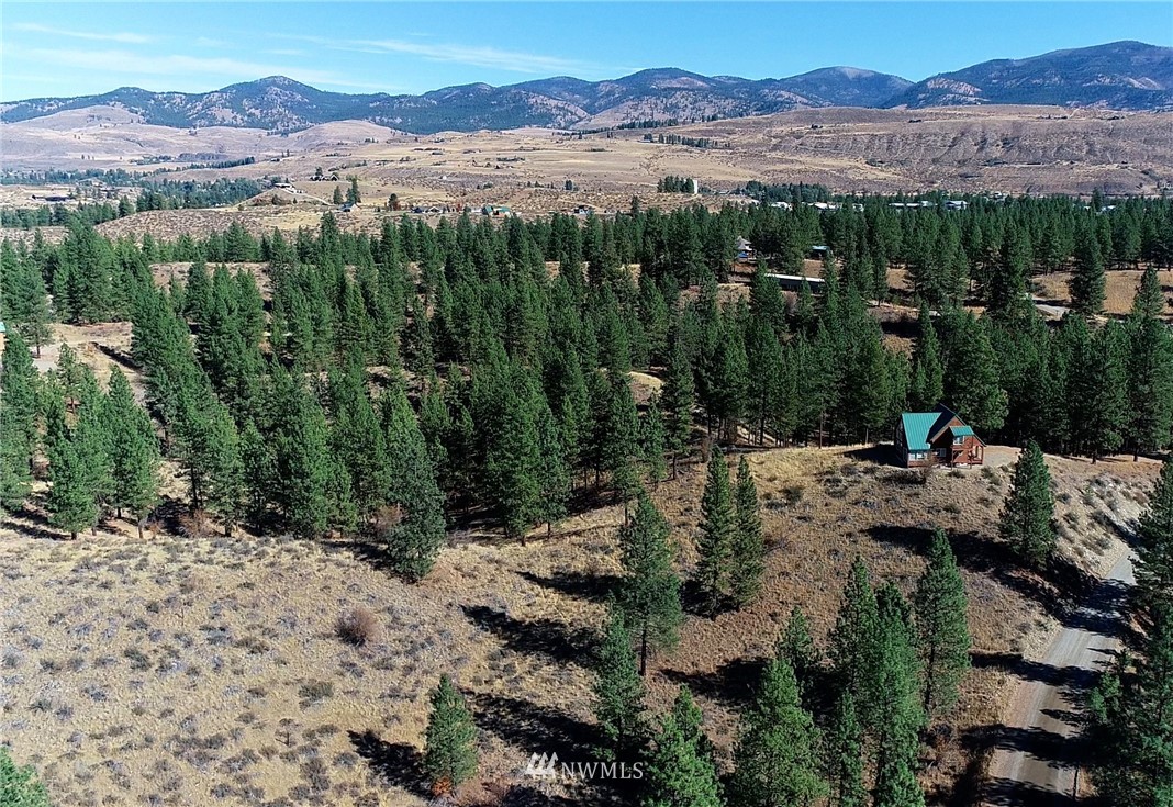 5 Appaloosa Road Winthrop, WA 98862 - Photo 8 of 39 Gallery Image 8
