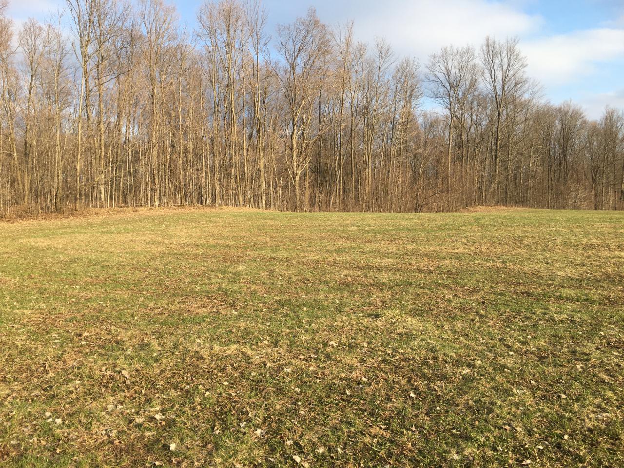 N3919 Hill Road Antigo, WI 54409 - Photo 16 of 34